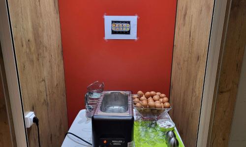 ibis Budget Limoges - photo 2